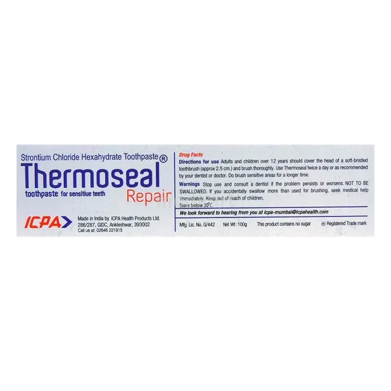 thermoseal repair paste 100 gm